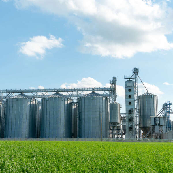 Silver,Silos,On,Agro,Manufacturing,Plant,For,Processing,Drying,Cleaning